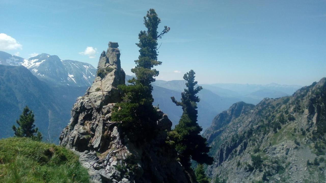 Gite Au Printemps Japonais, Petit Train De La Mure, Parc Des Ecrins Pierre-Chatel 外观 照片